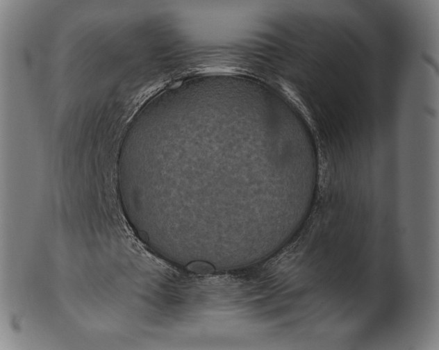 X0000101190385200807110950