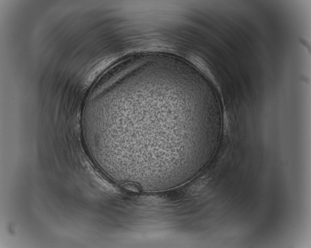 X0000101190389200807110950