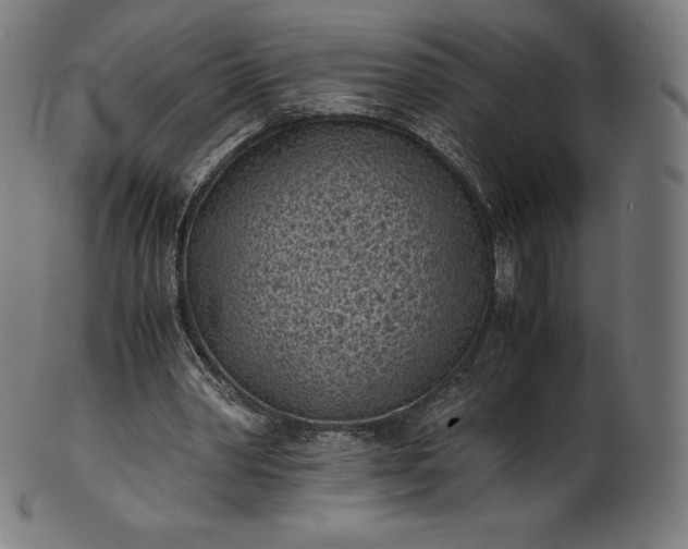 X0000101190390200807110950