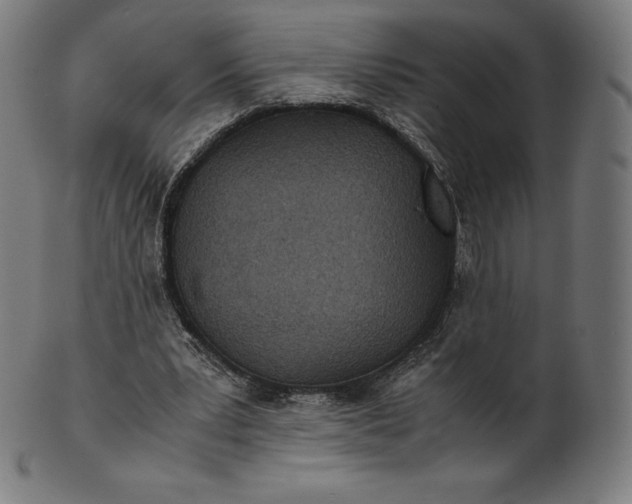 X0000101190391200807110950
