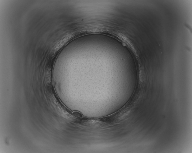 X0000101190393200807110950