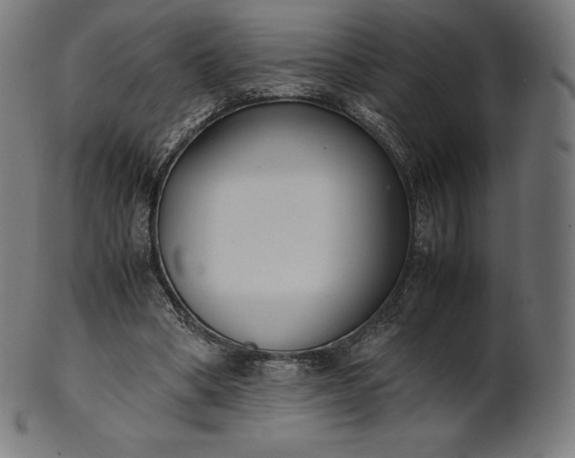 X0000101190394200807110950