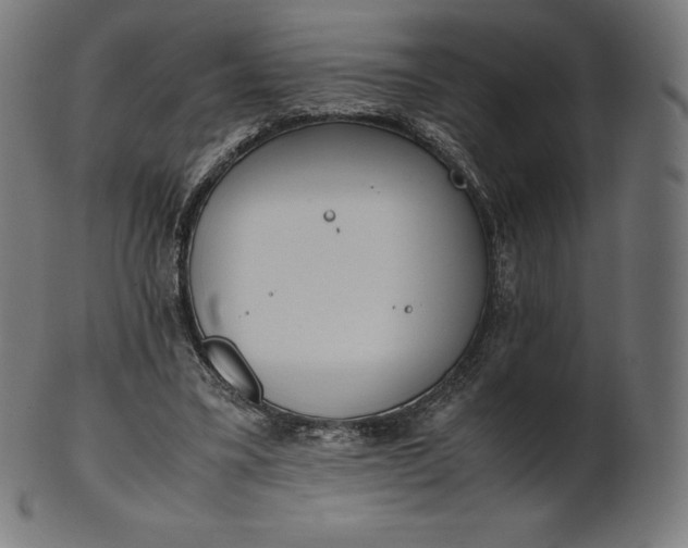 X0000101190395200807110950