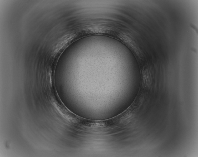 X0000101190398200807110950