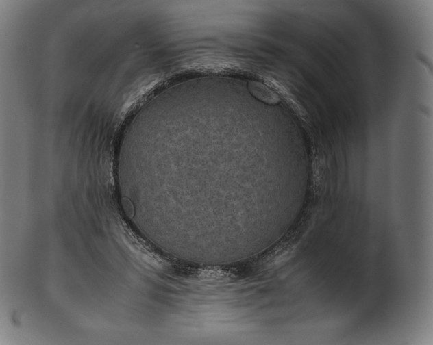 X0000101190399200807110950