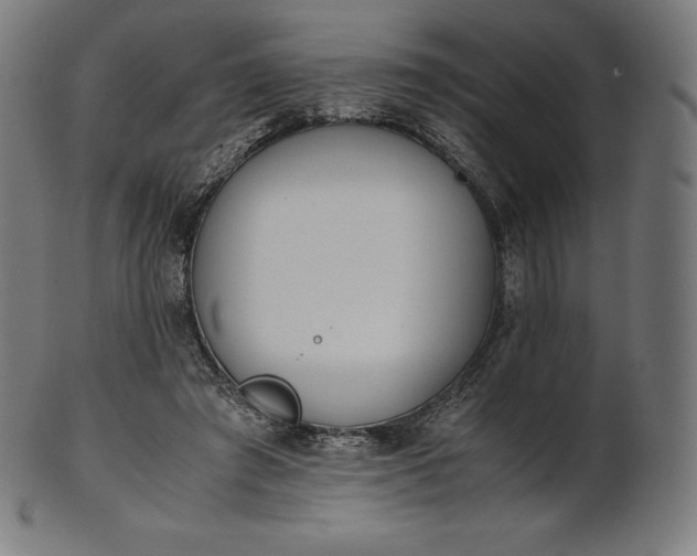 X0000101190401200807110950
