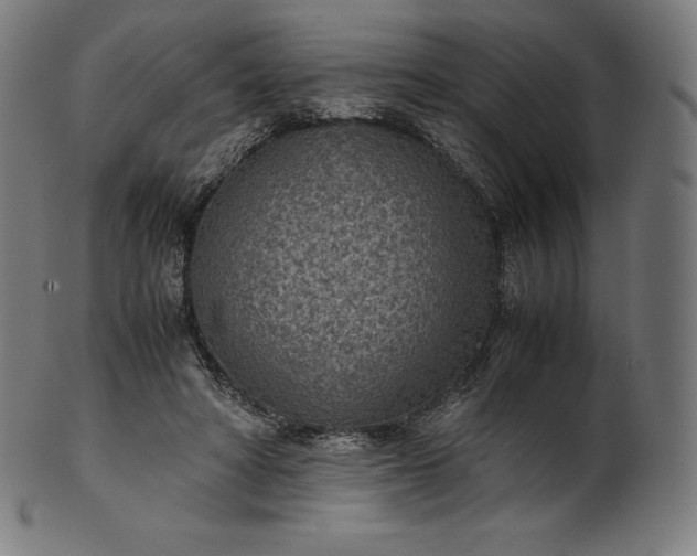 X0000101190402200807110950