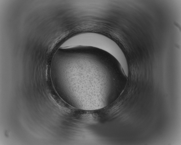 X0000101190404200807110949