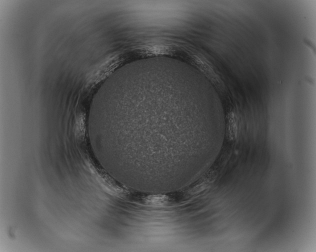 X0000101190410200807110949