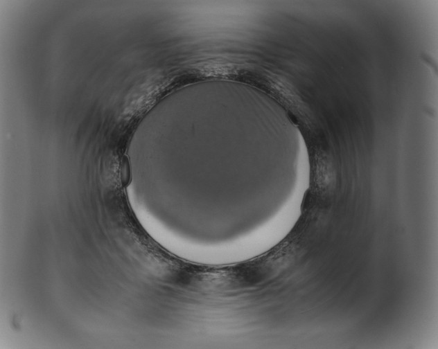X0000101190411200807110949