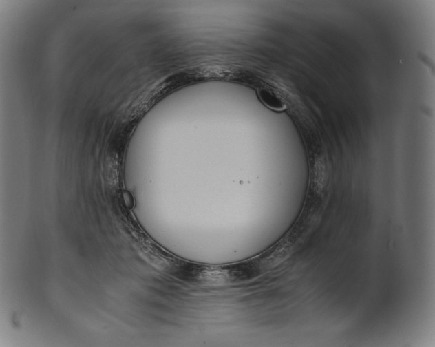 X0000101190413200807110949