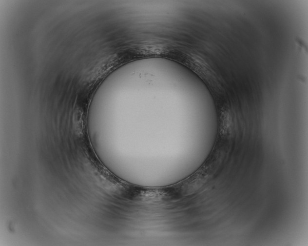X0000101190414200807110949