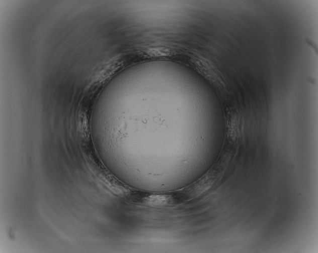 X0000101190418200807110949