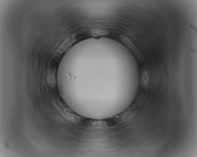 X0000101190426200807110949