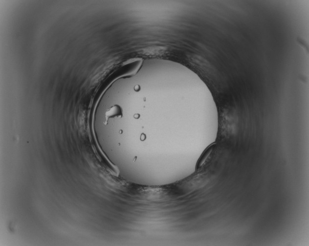 X0000101190428200807110949