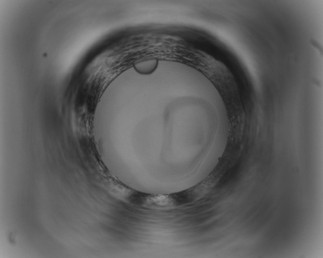 X0000101190431200807110949