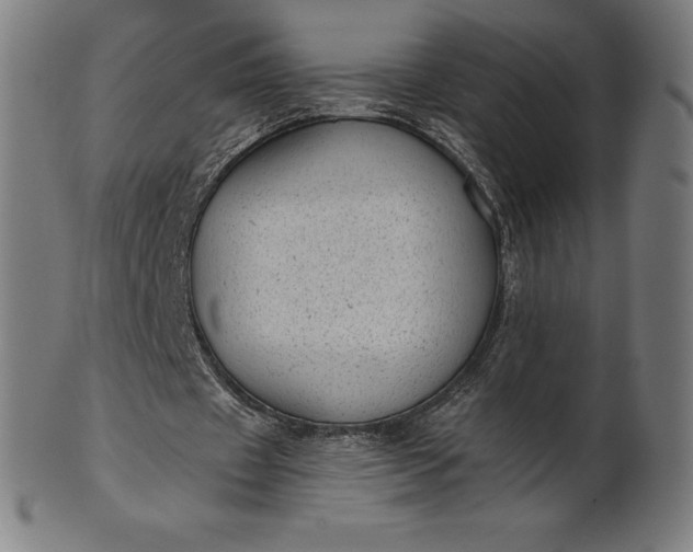 X0000101190433200807110948
