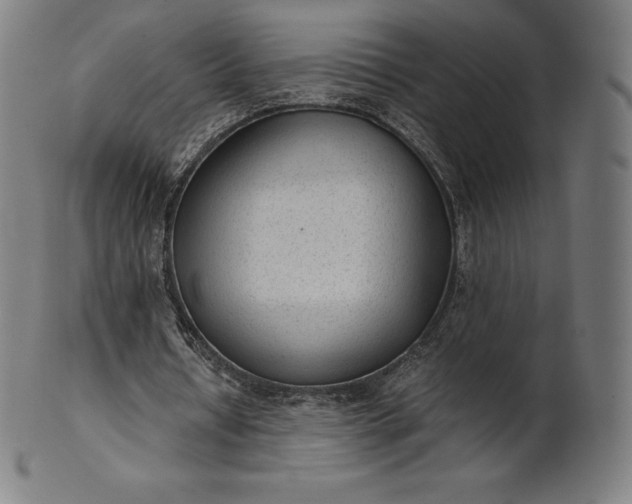 X0000101190434200807110948