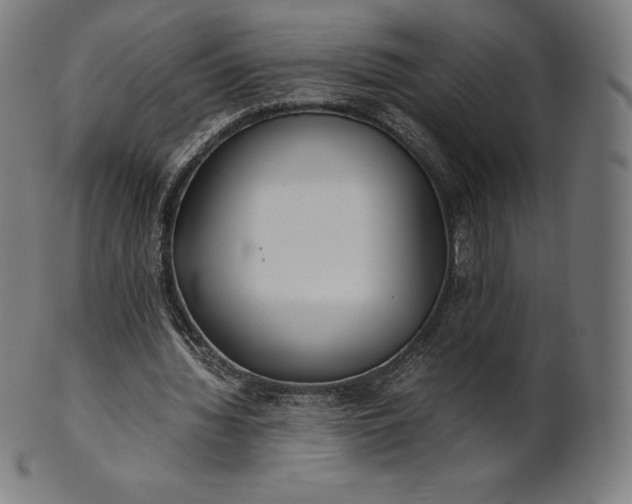 X0000101190436200807110948