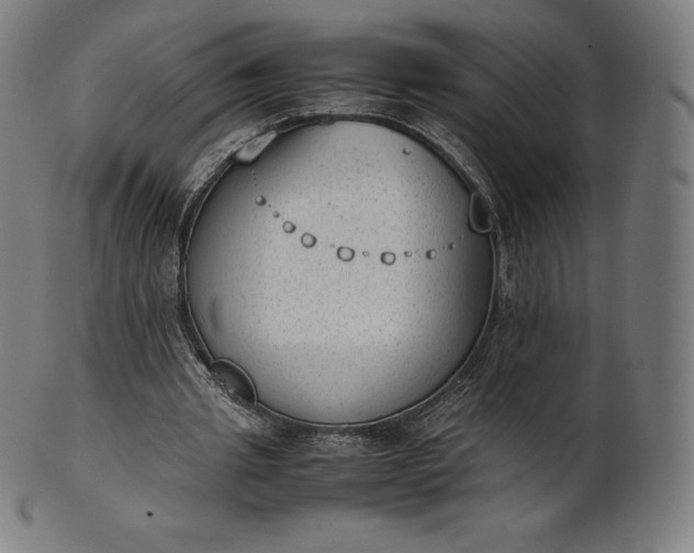 X0000101190437200807110948
