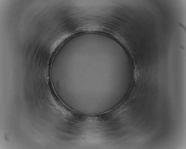 X0000101190438200807110948