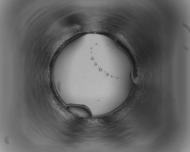 X0000101190439200807110948