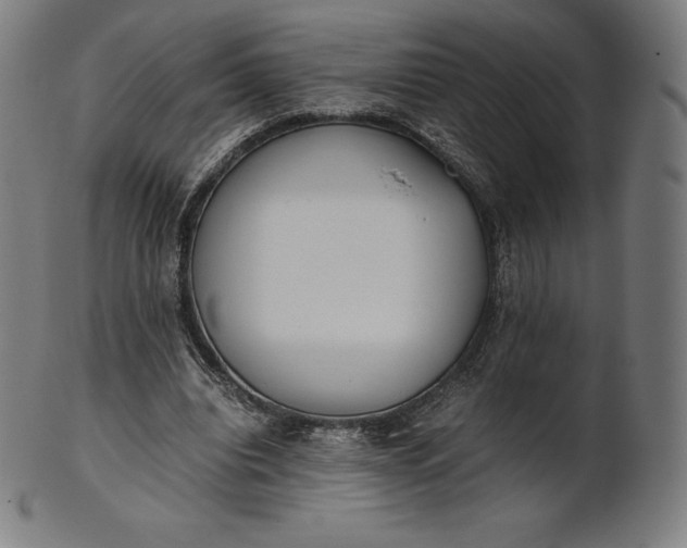 X0000101190440200807110948