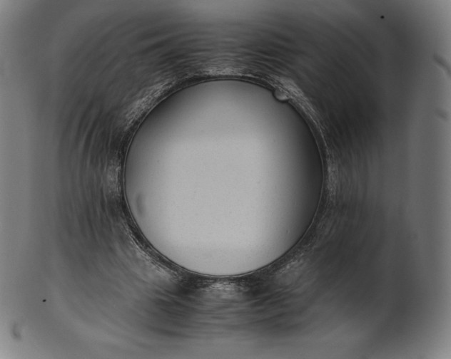X0000101190441200807110948