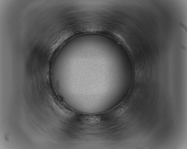 X0000101190443200807110948