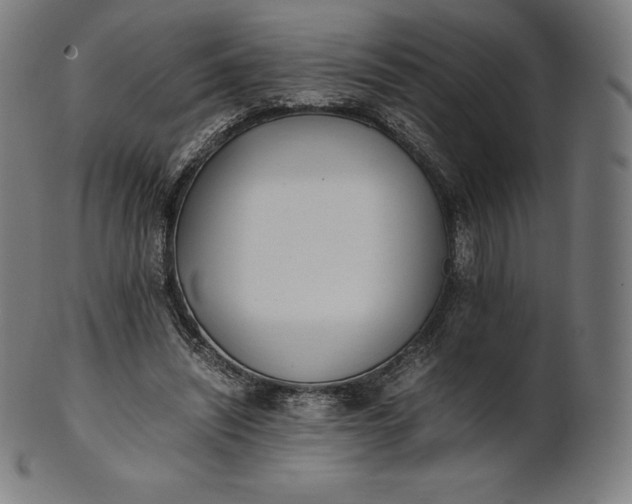 X0000101190444200807110948