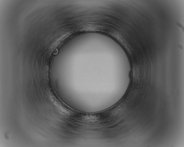 X0000101190445200807110948
