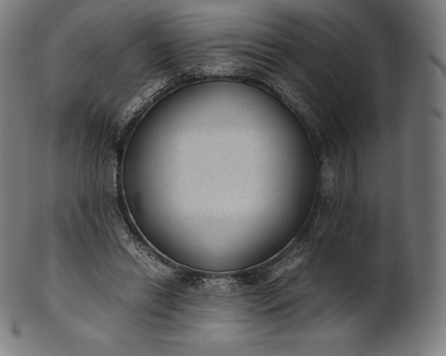 X0000101190446200807110948