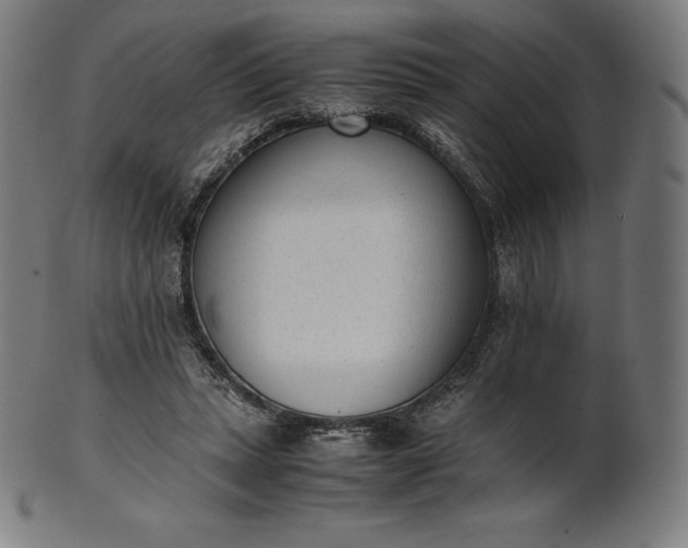 X0000101190447200807110948