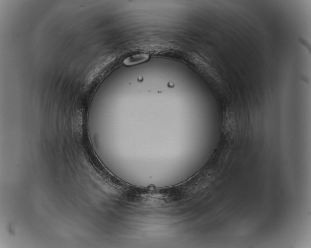 X0000101190448200807110948