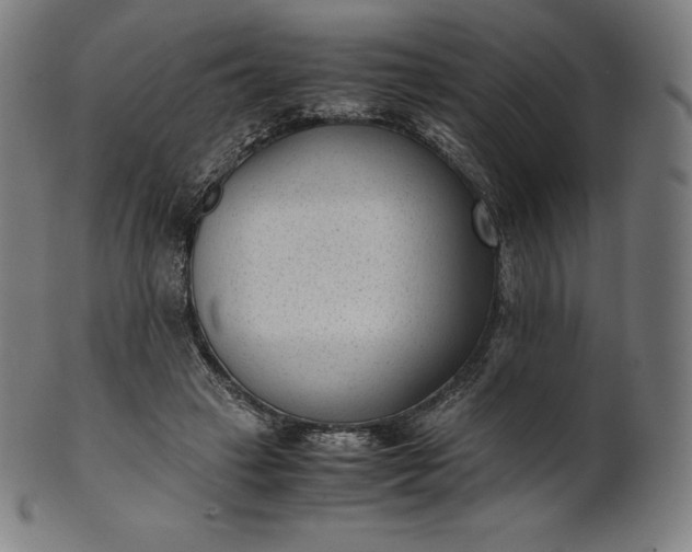 X0000101190449200807110948