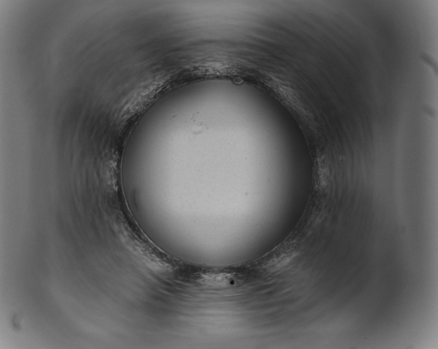 X0000101190450200807110948