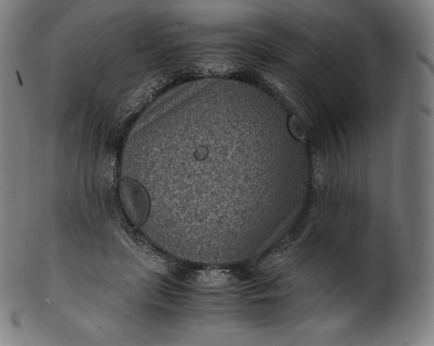 X0000101190451200807110948