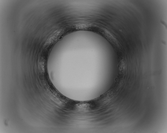 X0000101190452200807110948