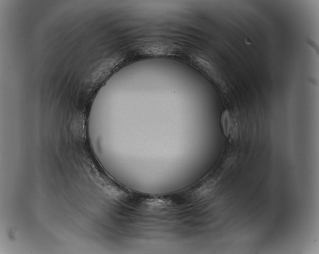 X0000101190453200807110948
