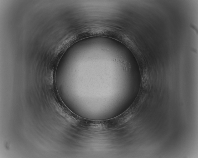 X0000101190454200807110948
