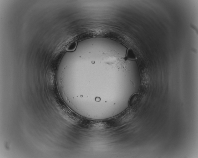 X0000101190456200807110948