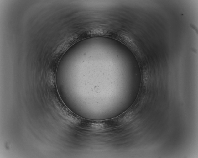 X0000101190457200807110948
