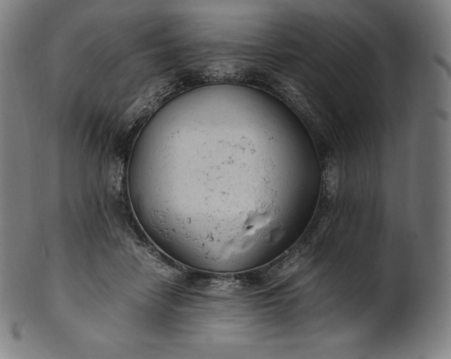 X0000101190458200807110948
