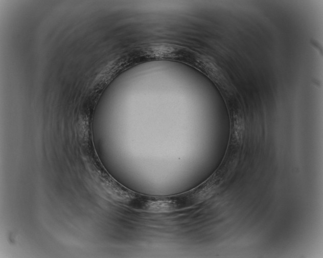X0000101190461200807110949