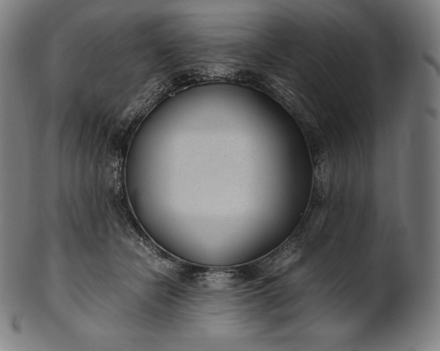 X0000101190462200807110949