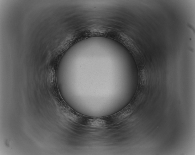 X0000101190463200807110949