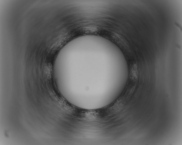 X0000101190468200807110949