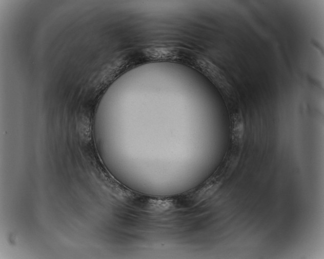 X0000101190469200807110949