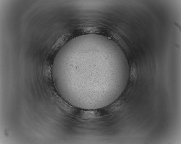 X0000101190473200807110949