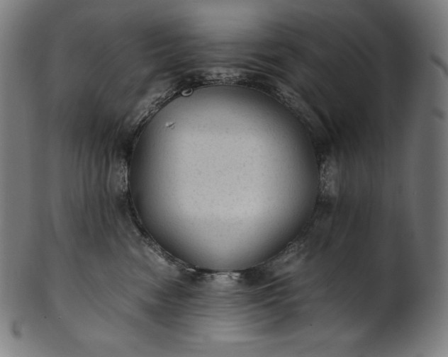 X0000101190474200807110949